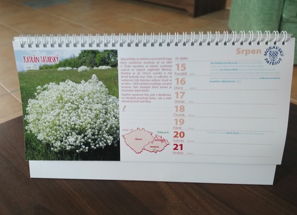 Stolní kalendář 2022 Byliny rostoucí na Moravě